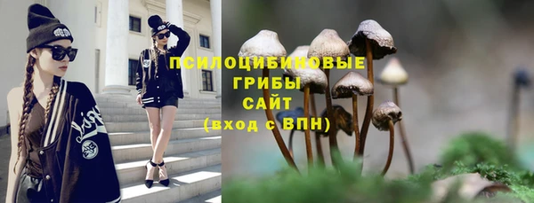 стафф Верхний Тагил