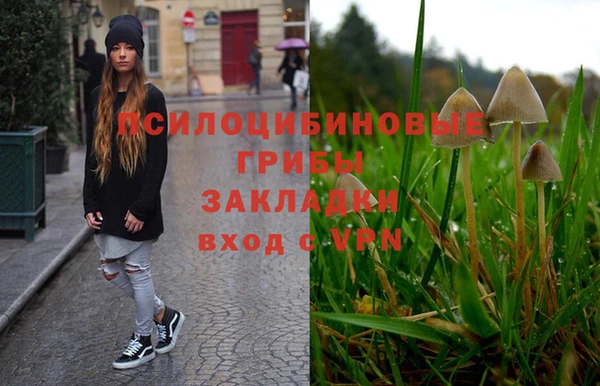 тгк Верея