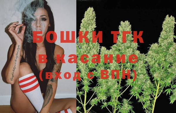 стафф Верхний Тагил