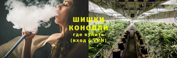 стафф Верхний Тагил